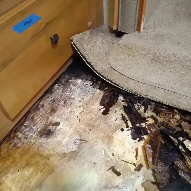 Best Wood Floor Water Damage Service in Wood County, WI